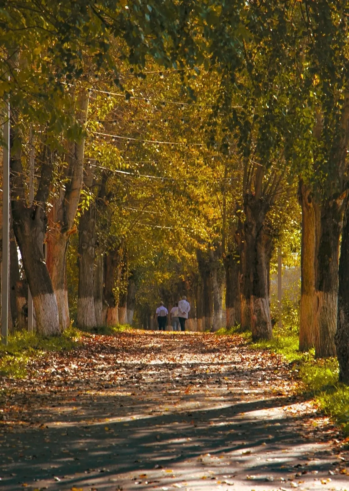 Осень в городе Оса 🍁