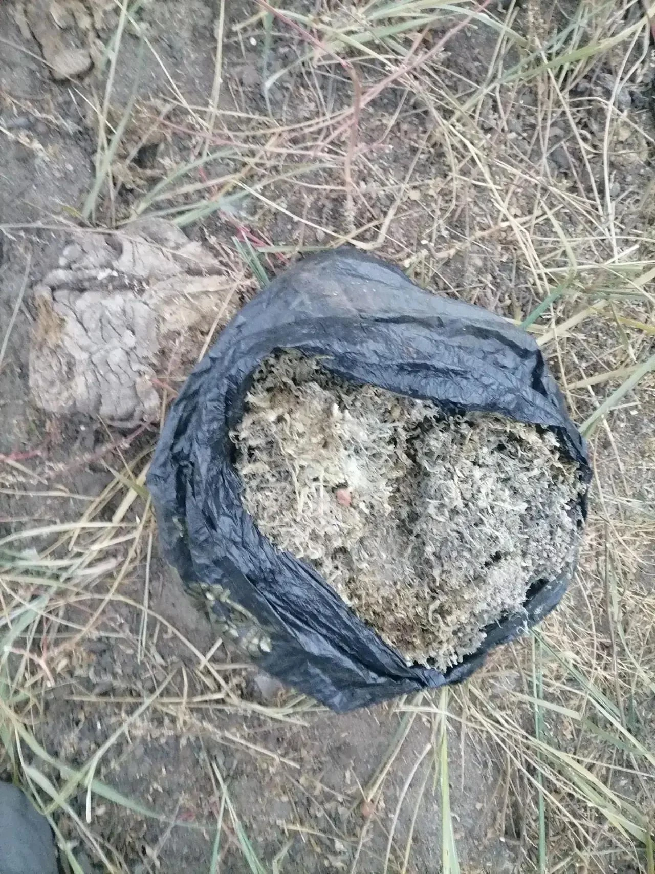 В Каа-Хемском районе возбуждено уголовное дело по факту хранения гашиша и марихуаны