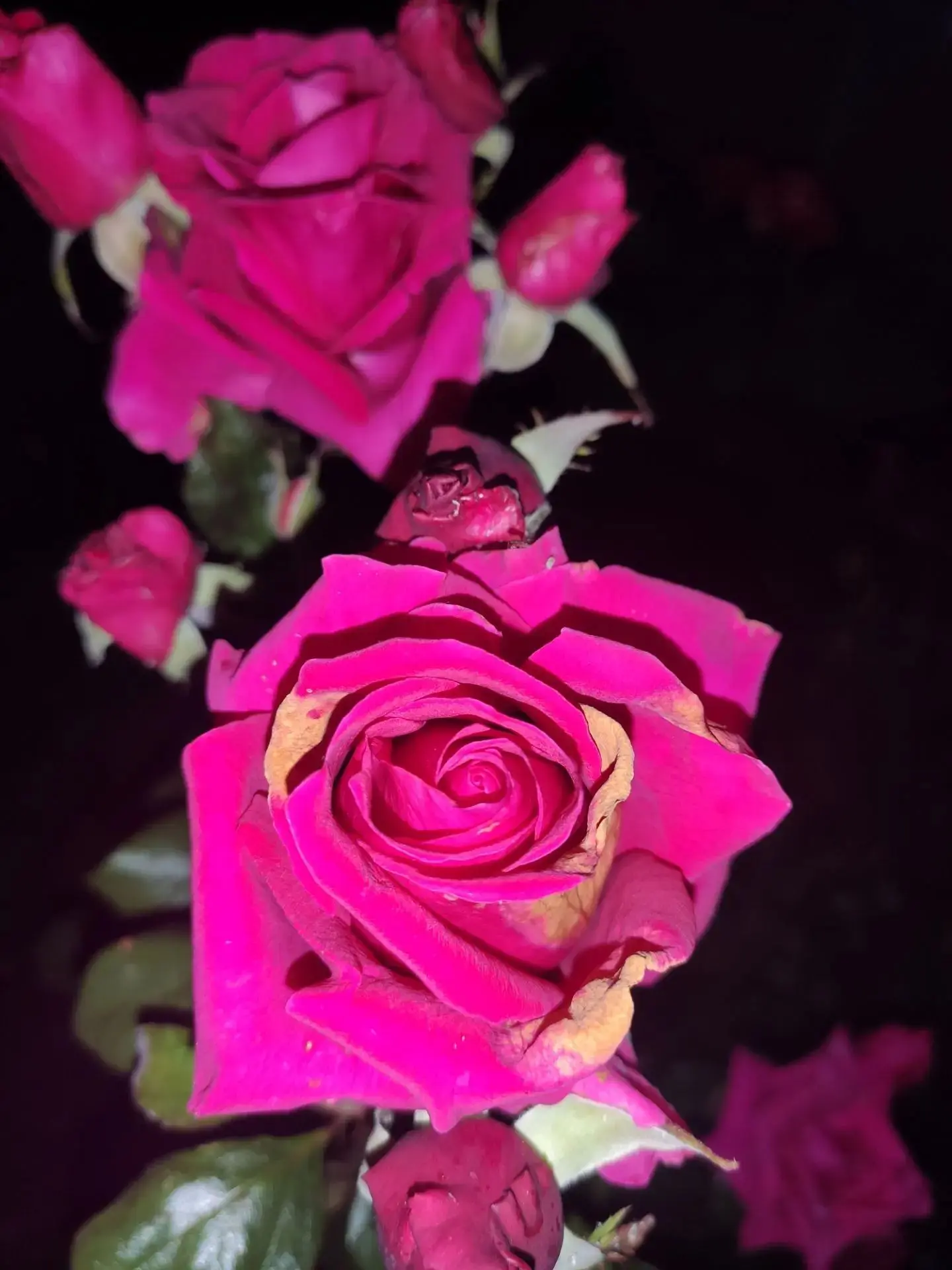 Подписчик поделился своей красотой🥰