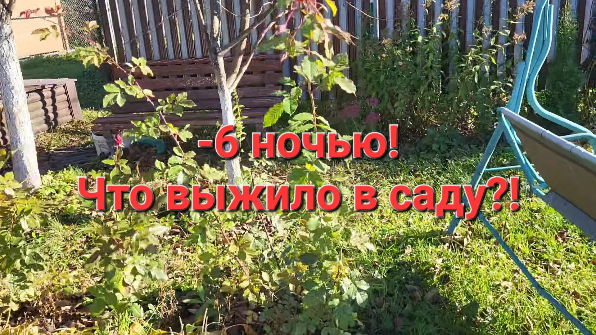 На прошлой неделе было -6°!