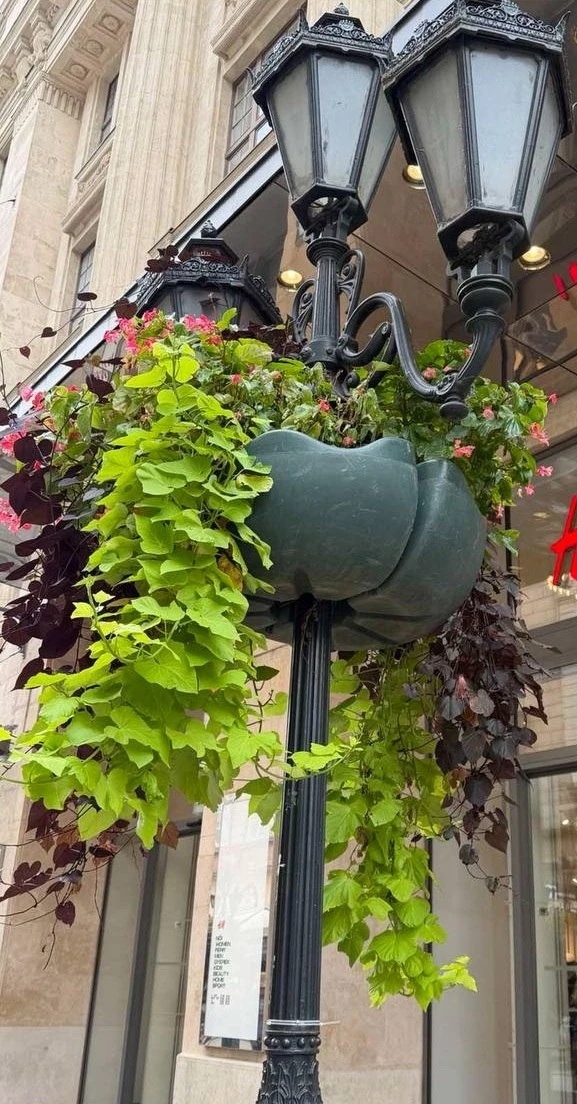 😍 Подписчики поделились классной идеей -  украсить фонари на набережной! 🌸
