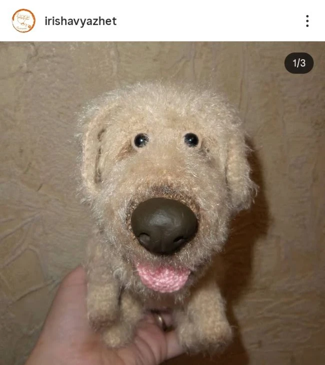 Милый, бестолковый, маленький и беззубый))) лабрадорчик
