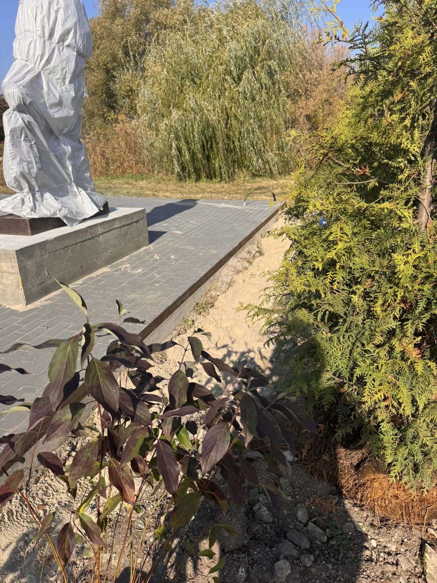 С каждой заявки , с каждого купленного Вами растения  мы откладываем на благое ежегодно...