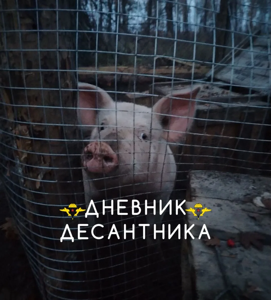 🪂 Срочные новости из зоны проведения спецоперации.