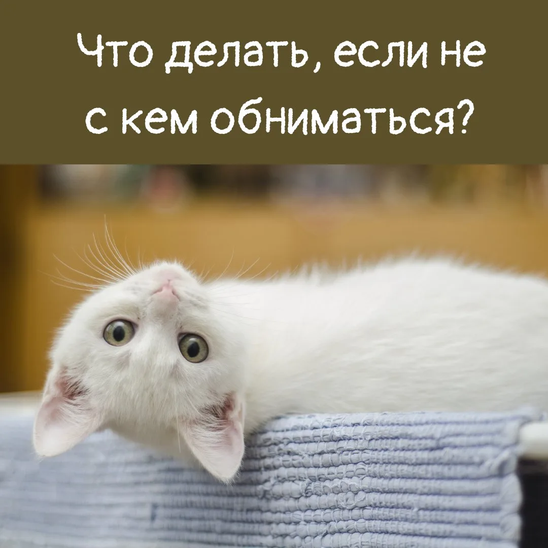 Что происходит с вашим телом, когда вы обнимаетесь