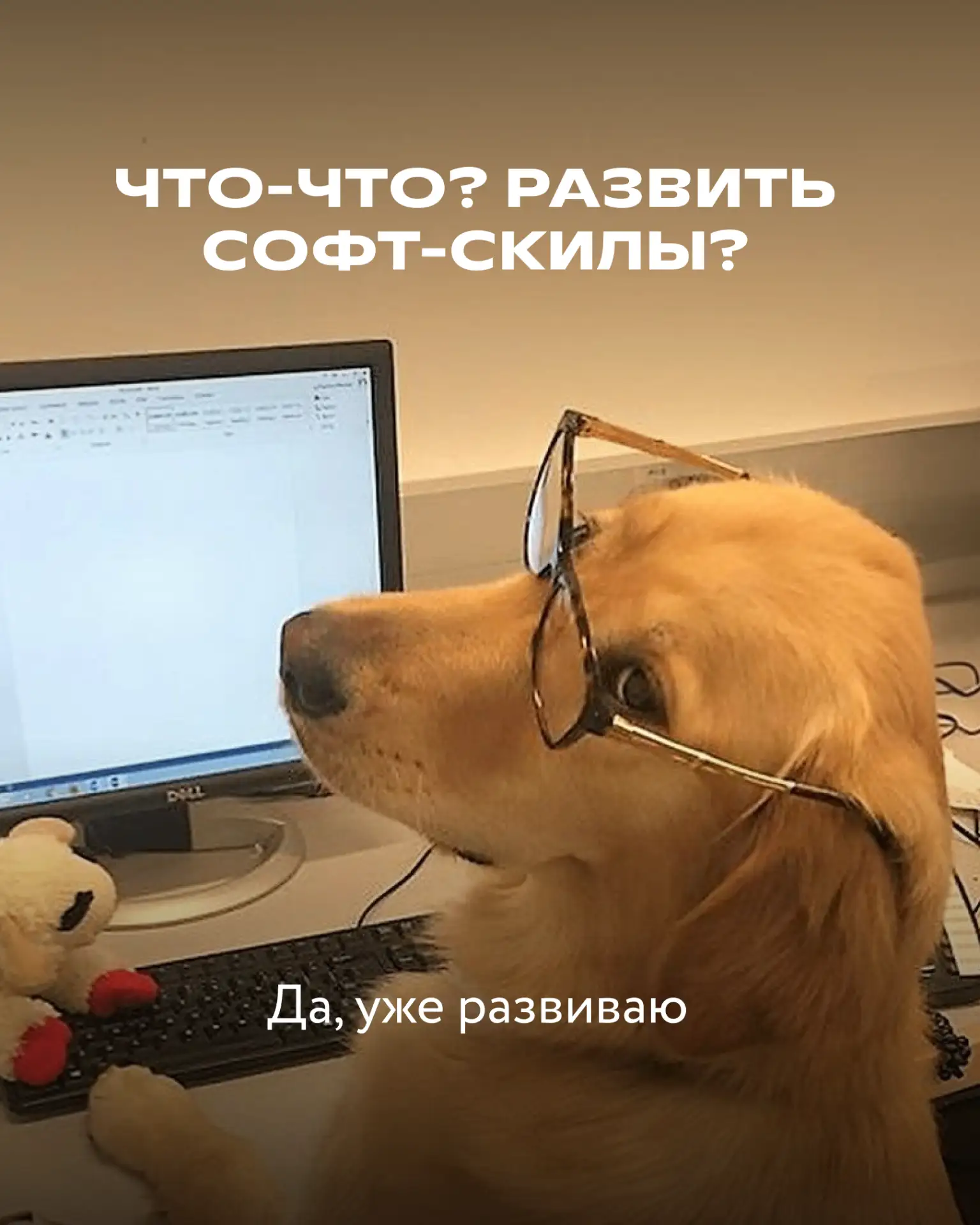 Знать математику и физику на отлично — круто, но развивать эмоциональный интеллект — ещ...