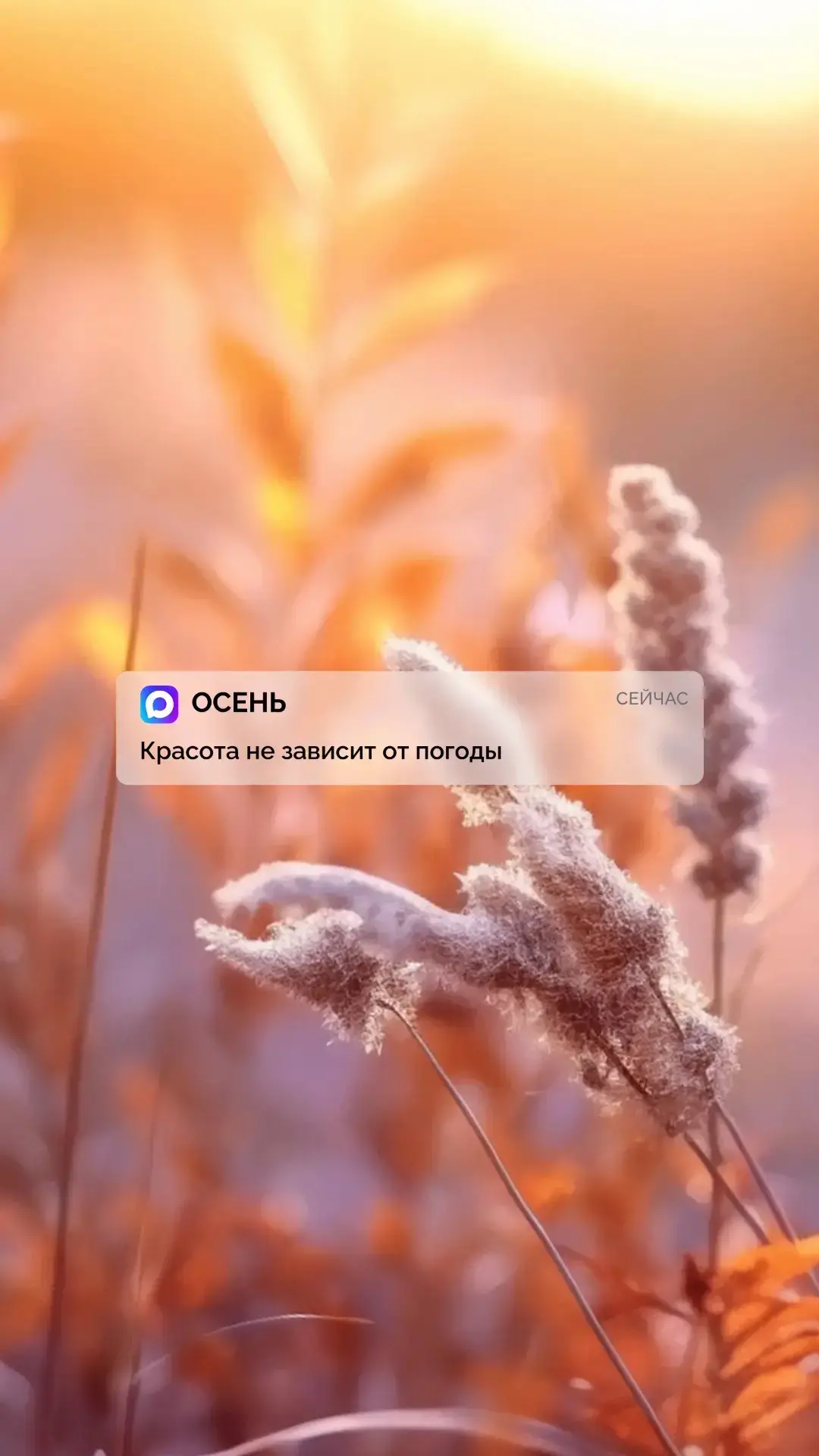 Подготовили обложки для ваших телефонов ❤️