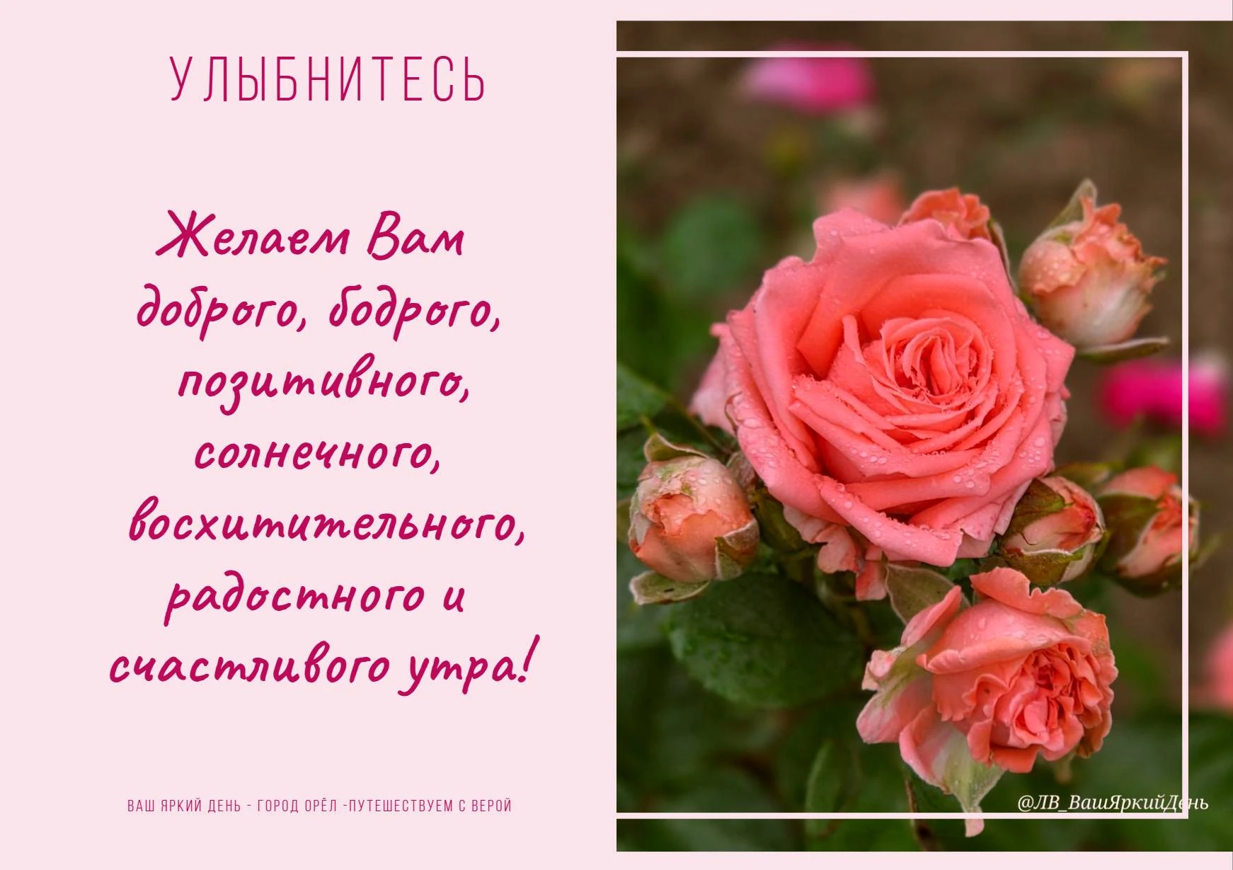 ✨ Доброе утро! Пусть день будет наполнен не только делами, но и маленькими радостями.