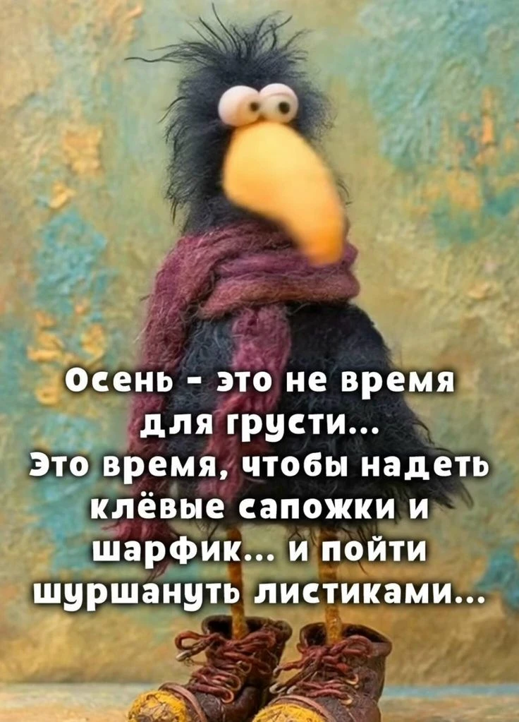 Женский юмор - Подписаться
