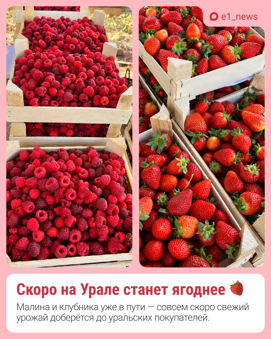 🍓 Екатеринбуржцы, к ягодному буму готовы?