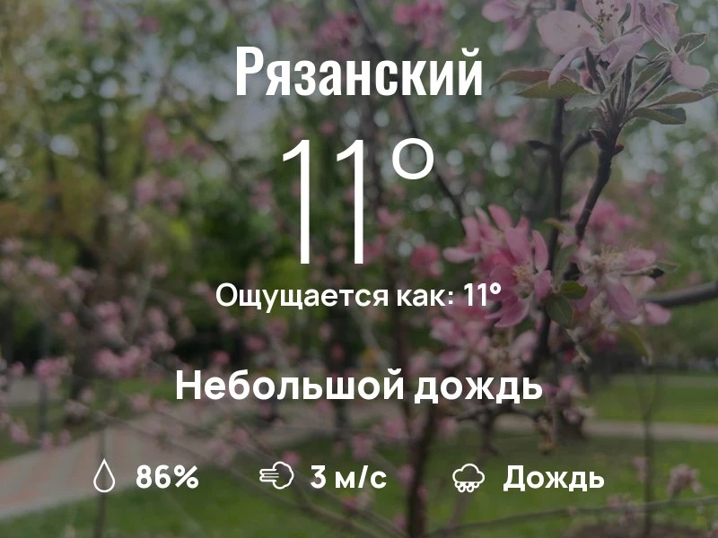 Что с погодой в Рязанском?