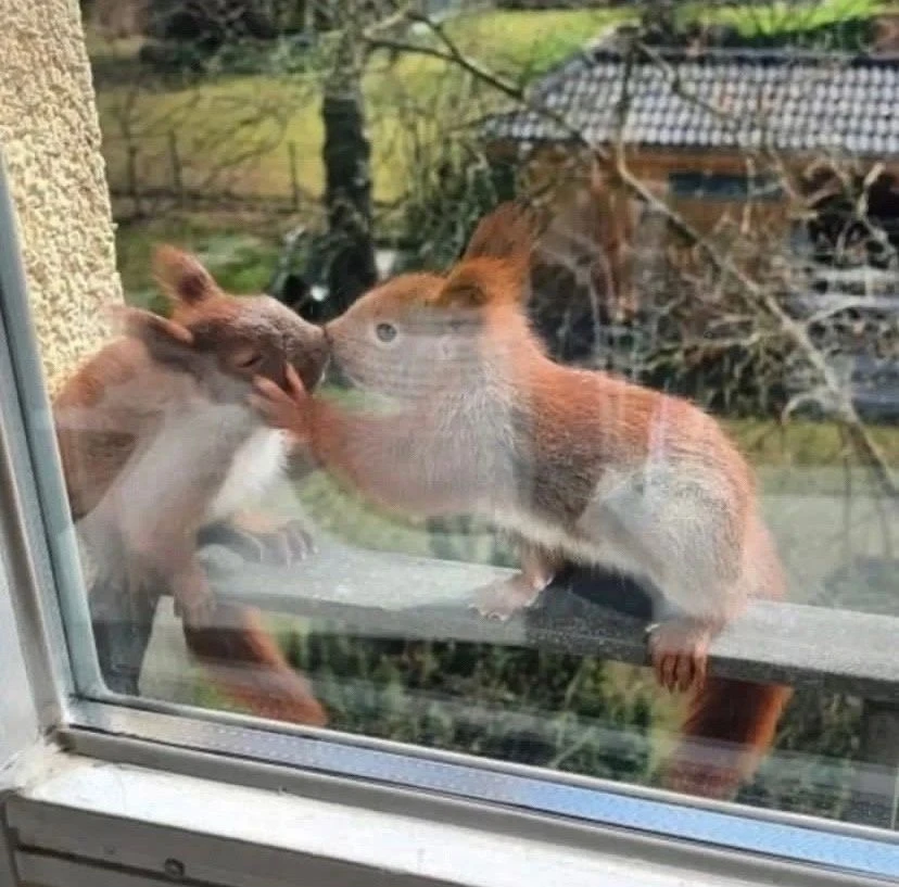 А у нас тут случился поцелуй 😍