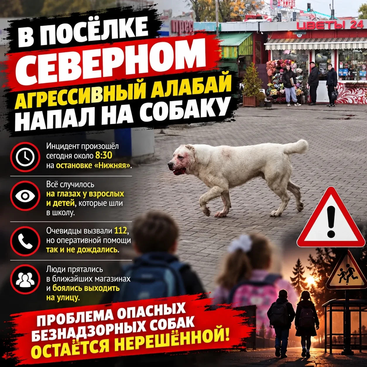 В поселке Северном алабай растерзал собаку на глазах у школьников. Инцидент произошел с...