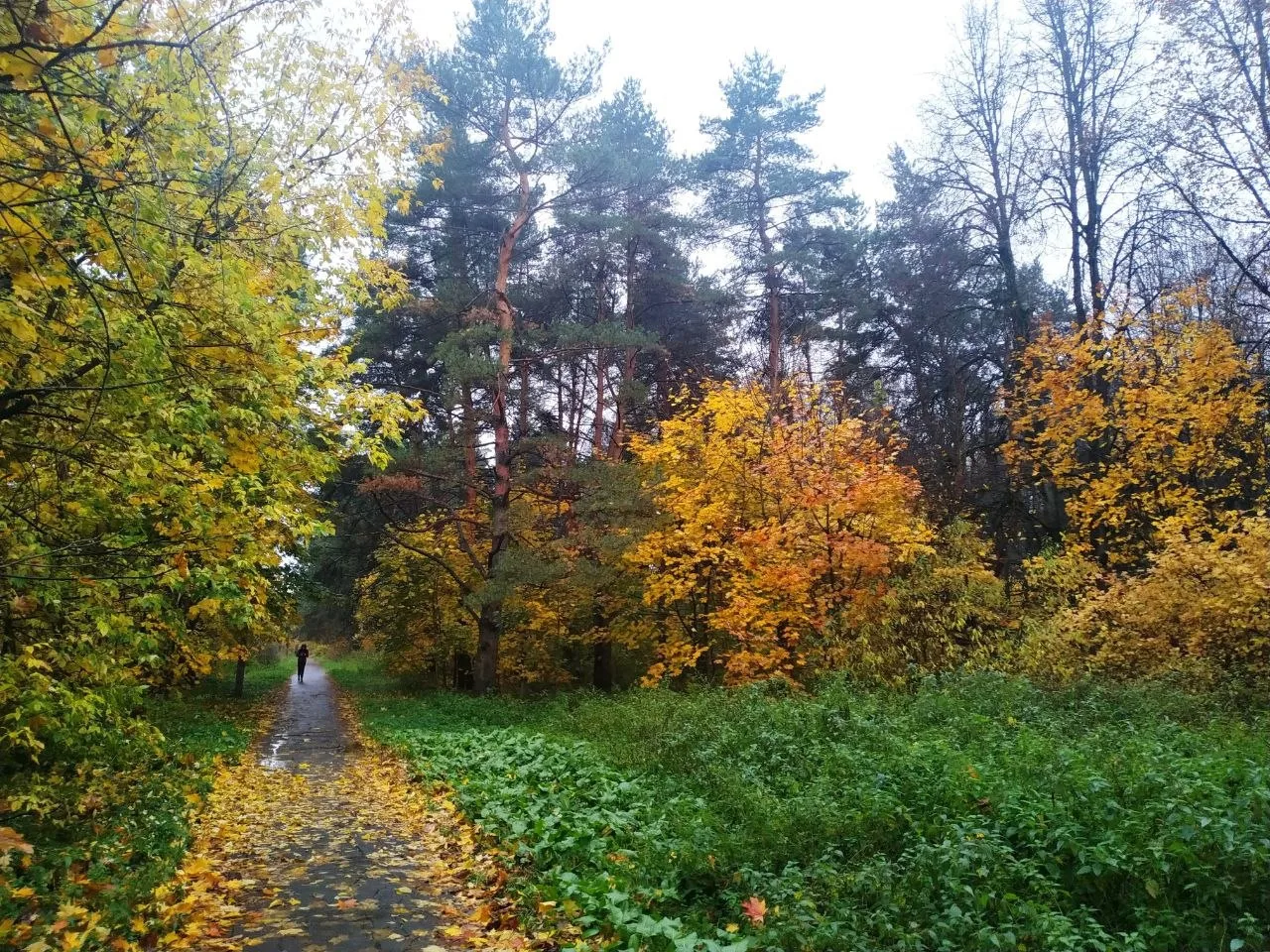 🍂 Осень в Косыгинском парке. Архангельское