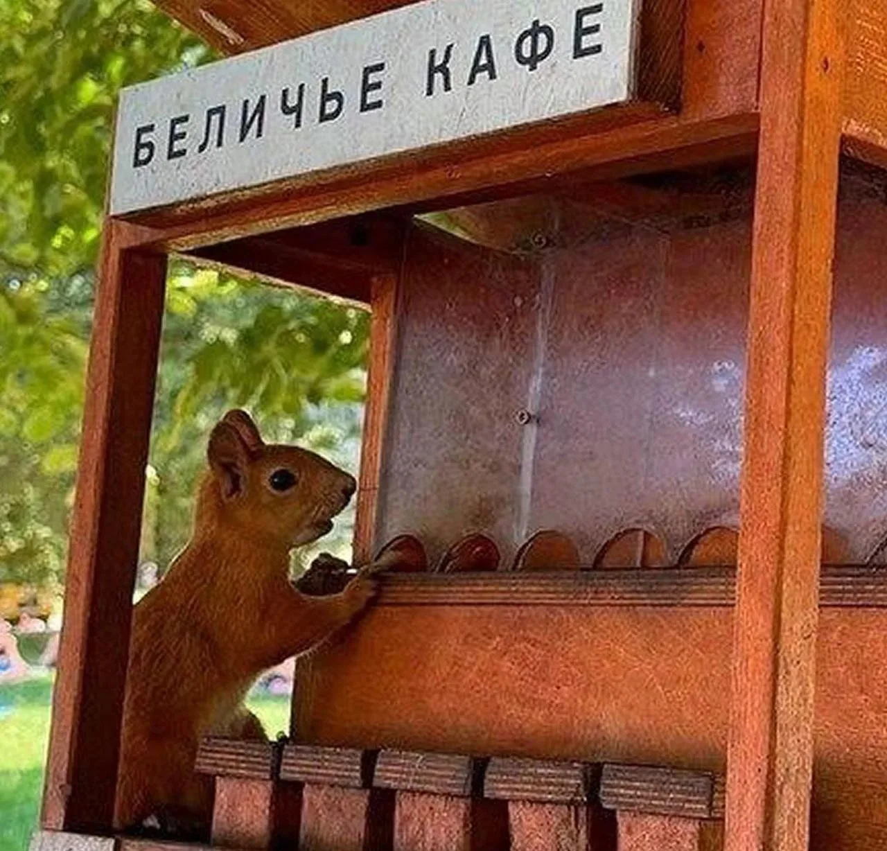 Москвичка собрала 7 самых необычных скворечников в городских парках и скверах.