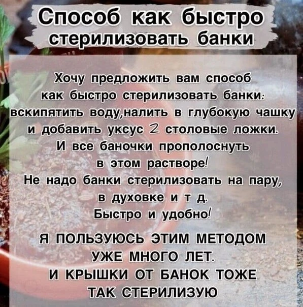 👩‍🌾 Дачный уголок
