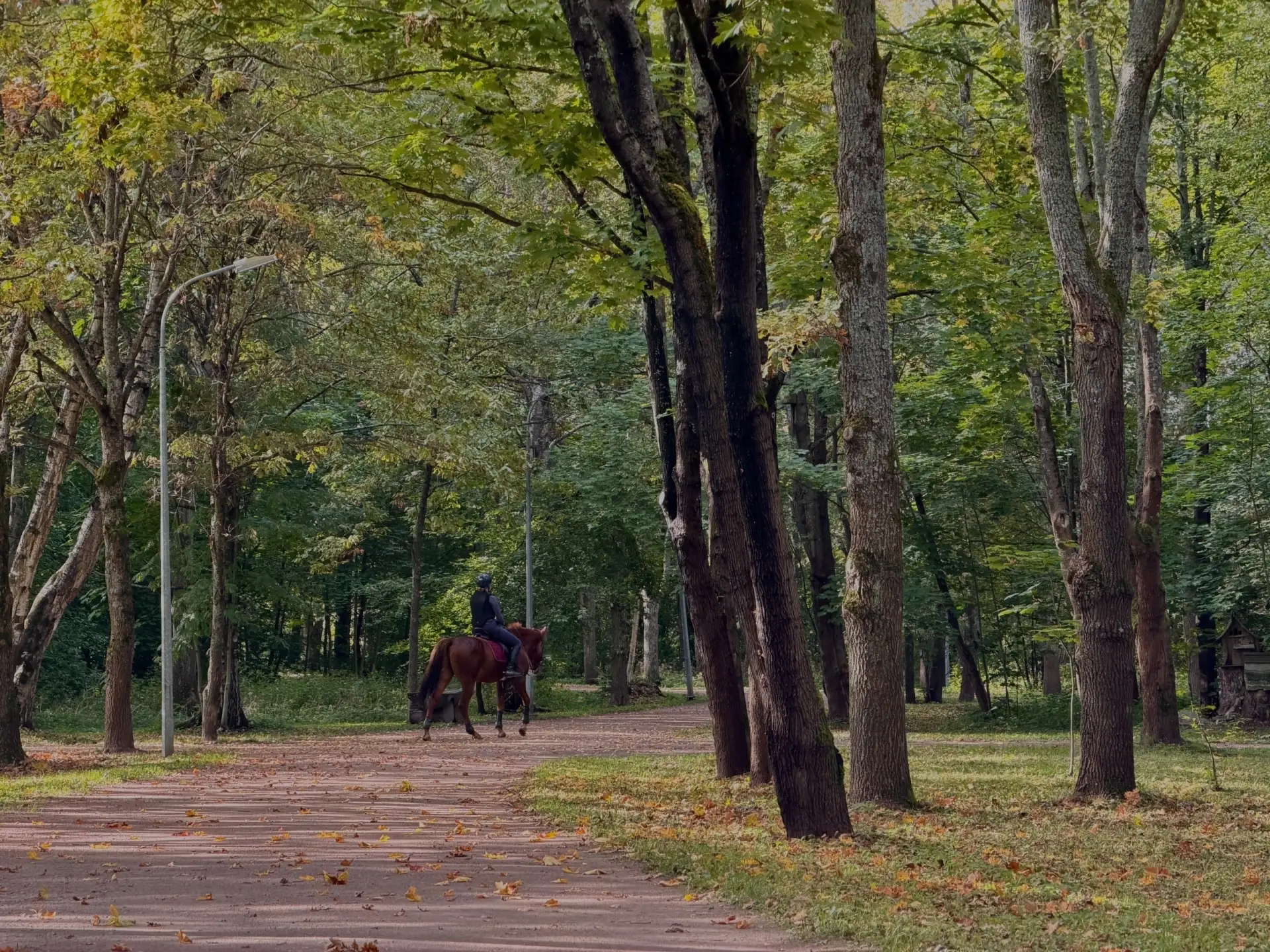 🍂 Золотая осень потихоньку прощается с нами. Но у вас ещё есть шанс поймать эту особен...