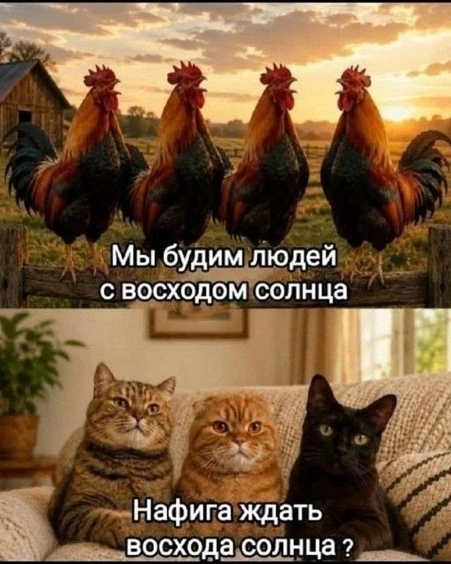 😂
