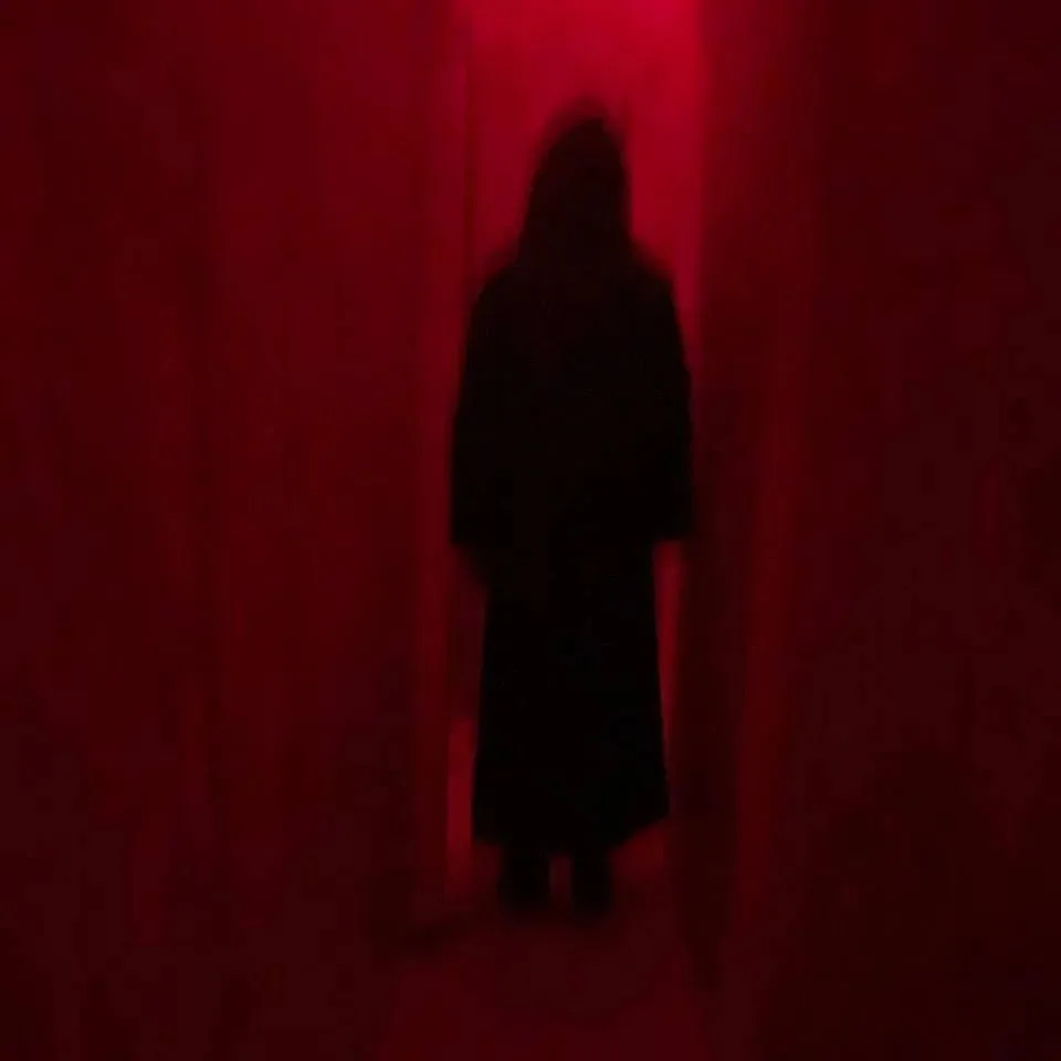 🤫 Заглянули в наш лабиринт...и вот что там увидели... 😧😱👻