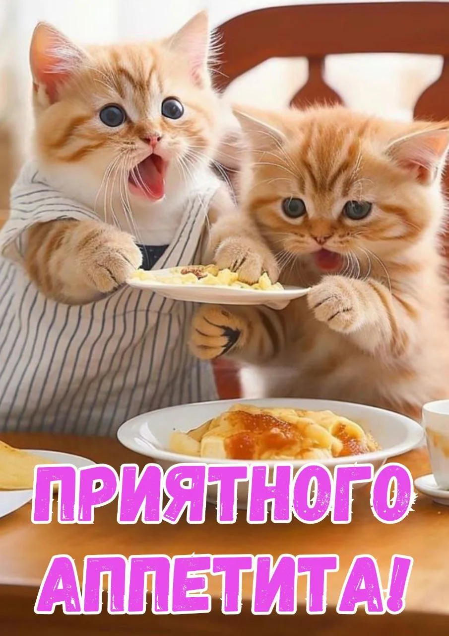 ~~~~~~~~~~~~~~~~~~~