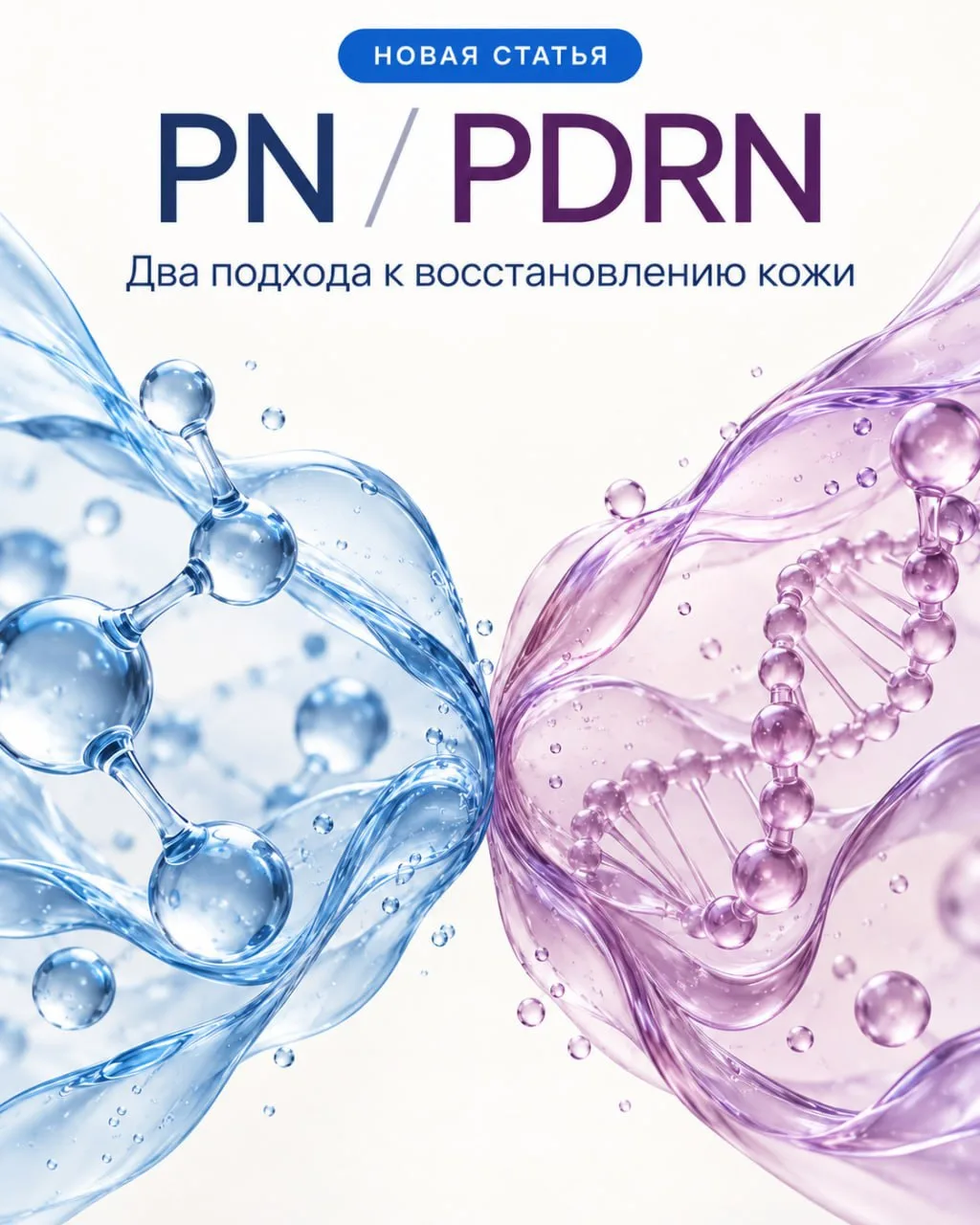PN и PDRN: задачи в практике косметолога 🔬