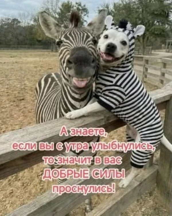 💌 Добрые открытки! Подписаться