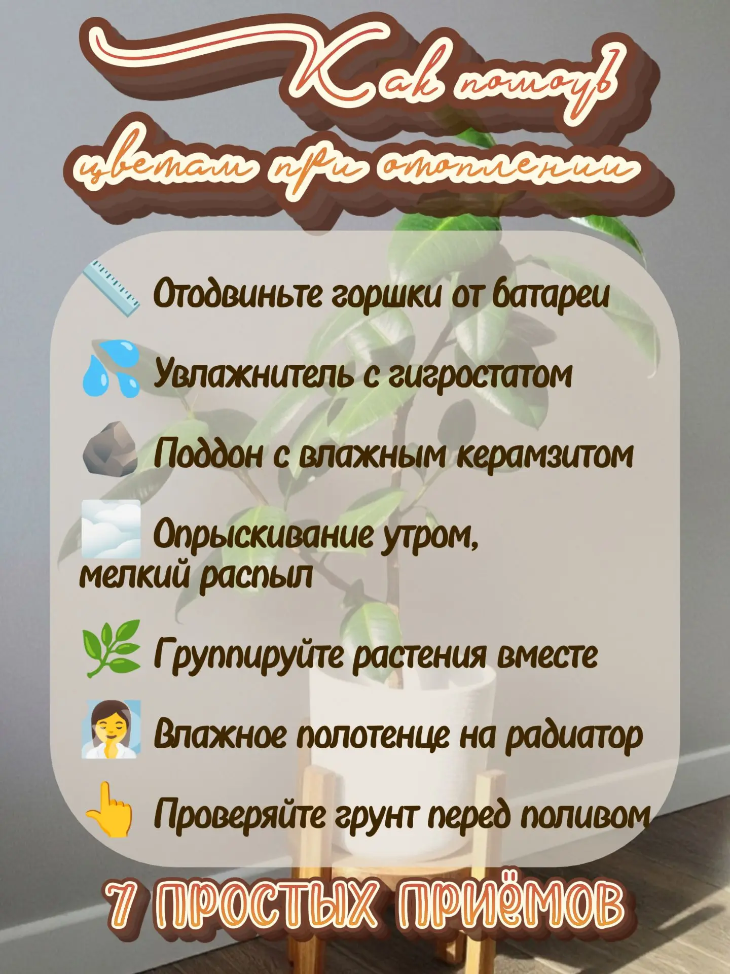 🌿 Тепло в доме, а цветам непросто: как поддержать растения, когда батареи сушат воздух