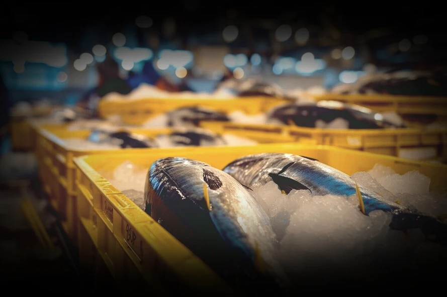 🐟 Россельхознадзор расширил список российских поставщиков рыбной продукции в Саудовску...