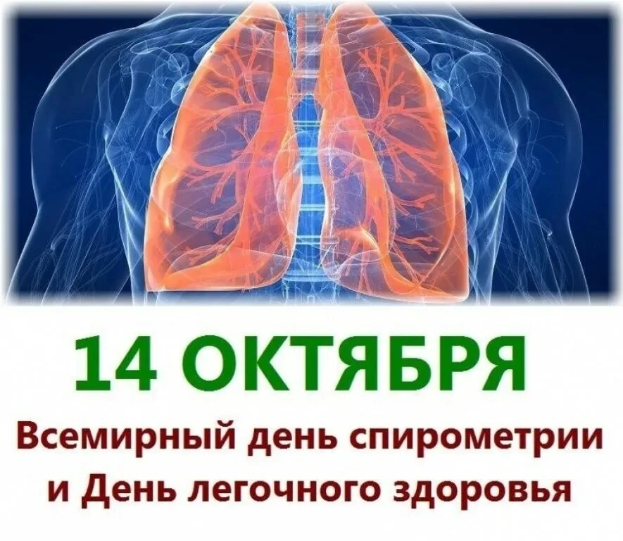 14 октября - День здоровья лёгких и День спирометрии