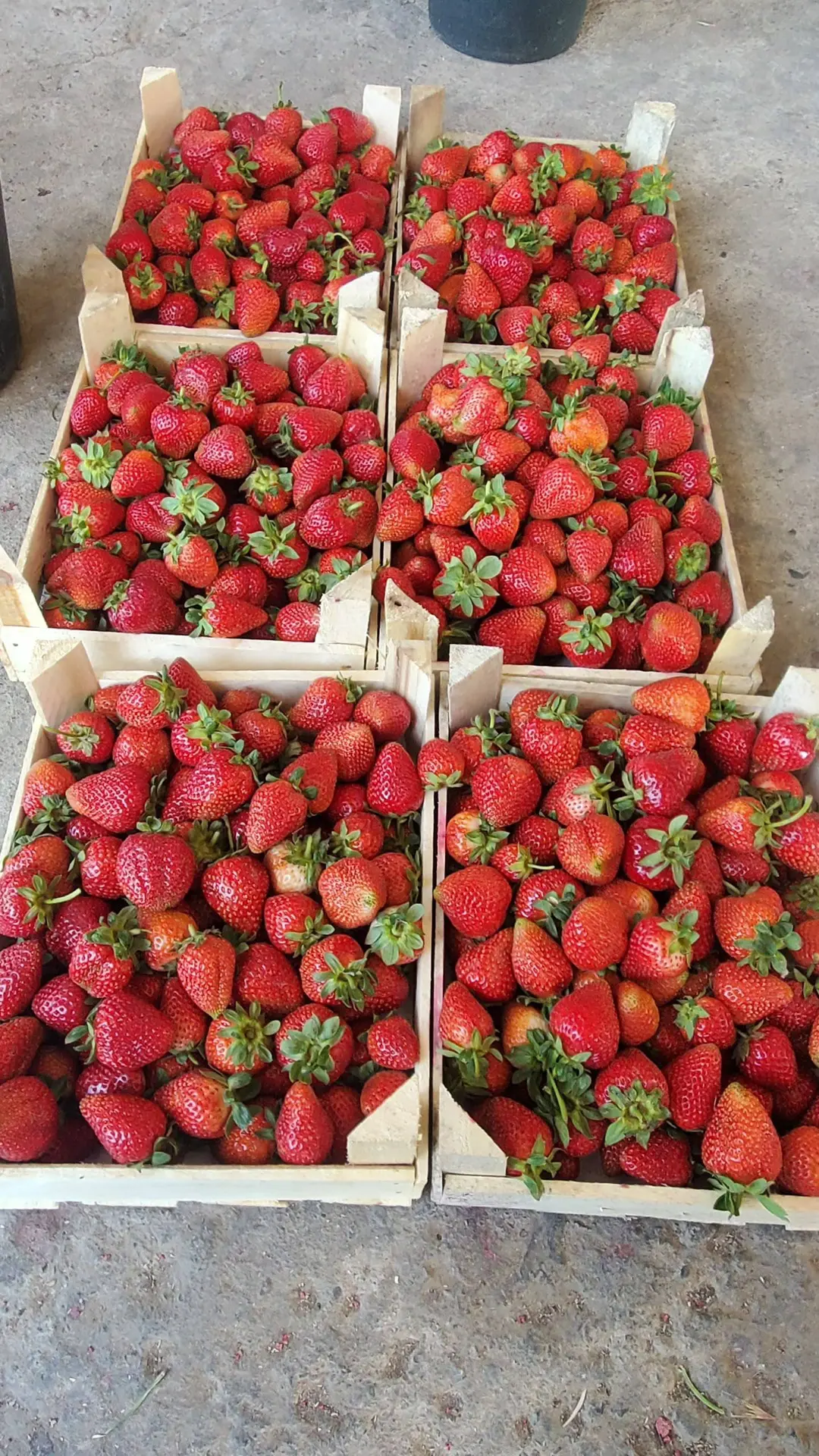 Доброе утро ☀️