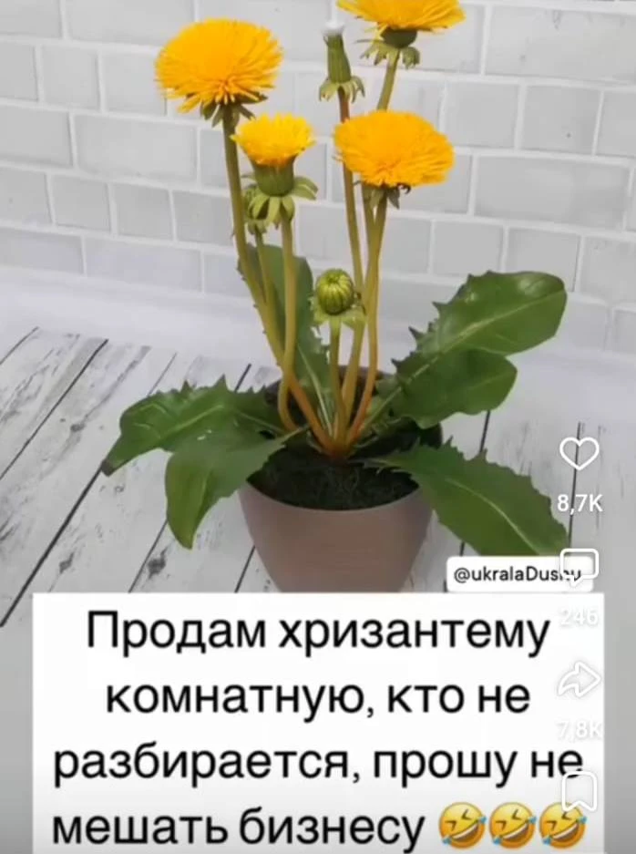 😅😅😆😆