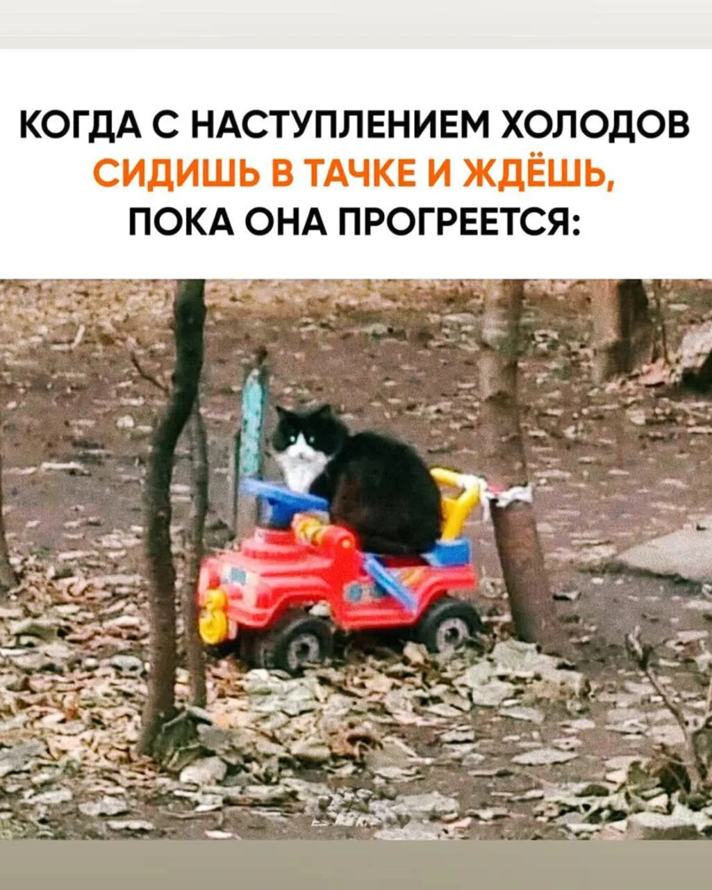 Подпишись на юмор 😂