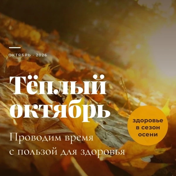 Тёплые солнечные дни октября — хороший повод больше гулять, заняться садом или провести...