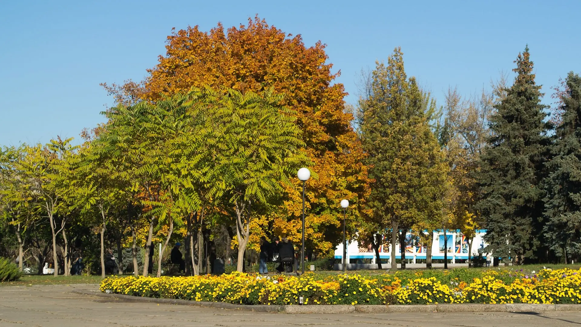 Золотая осень в Краматорске, 2012 год