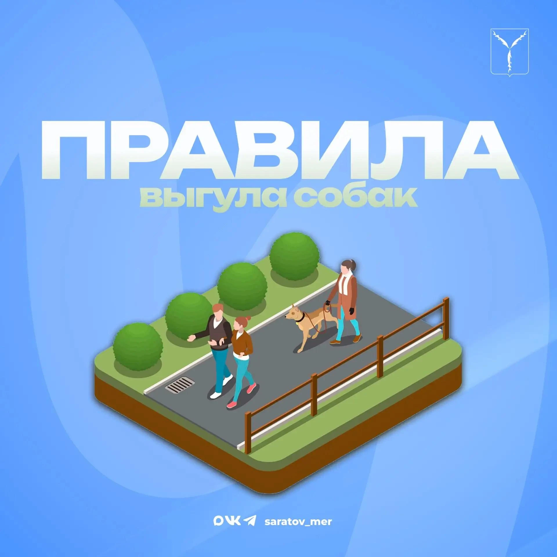 Саратовцам рассказали о правилах выгула и перевозки питомцев