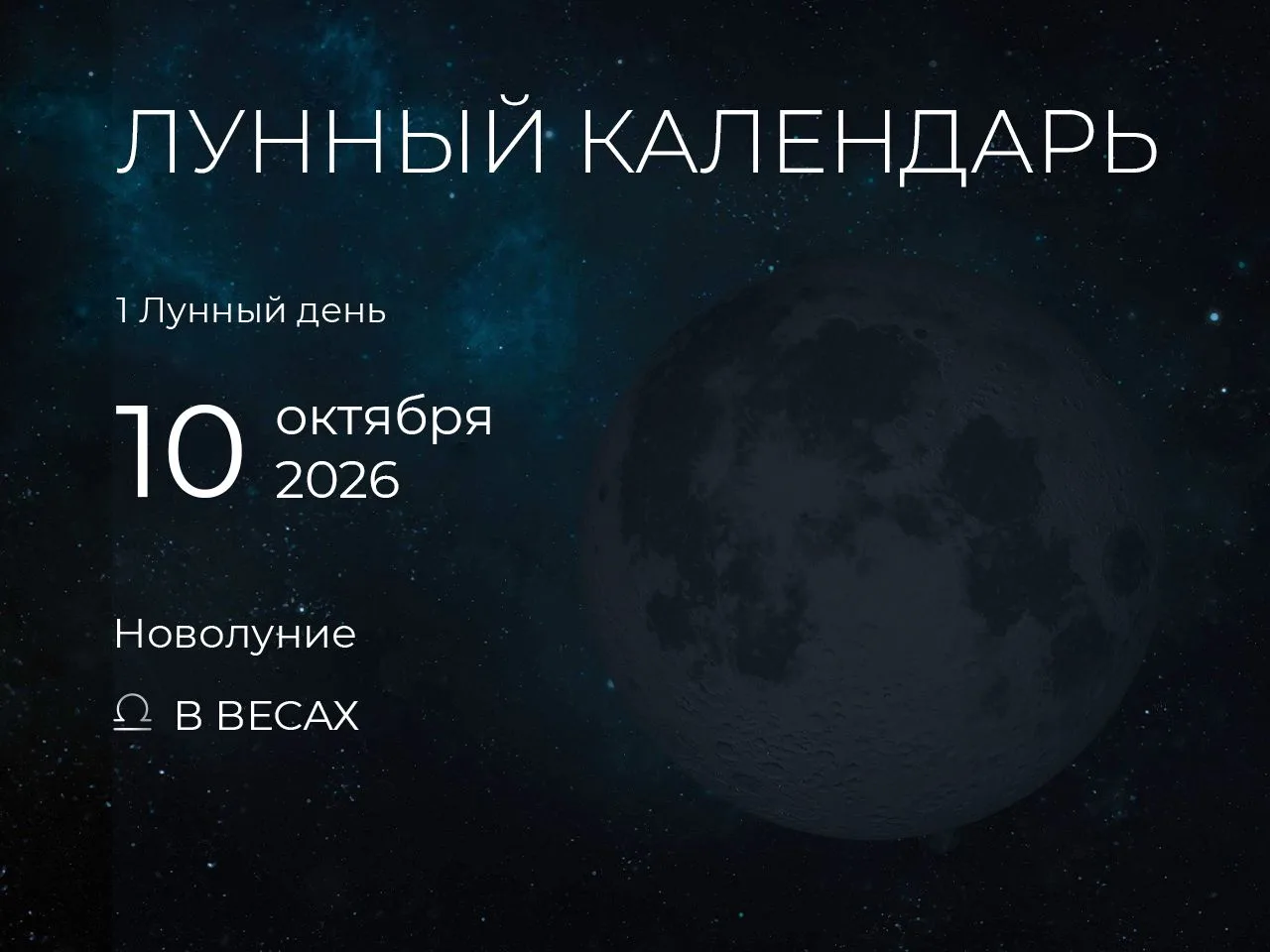 📆 Рекомендации дня: