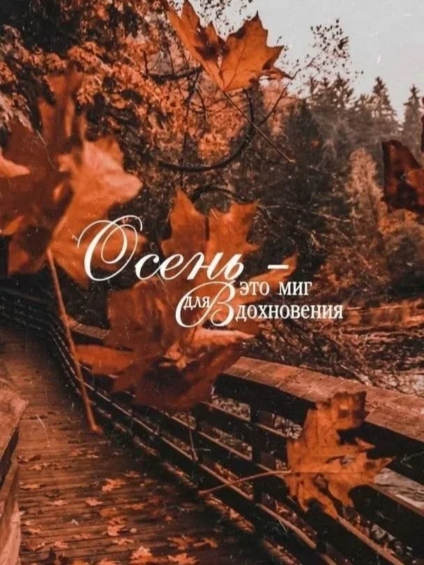 😍🍁😍🍁😍