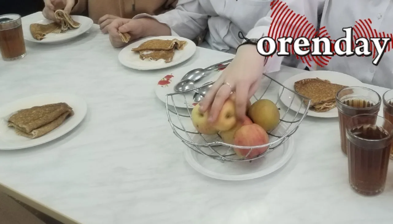 Кто кормит и охраняет детей в оренбургских школах и садах