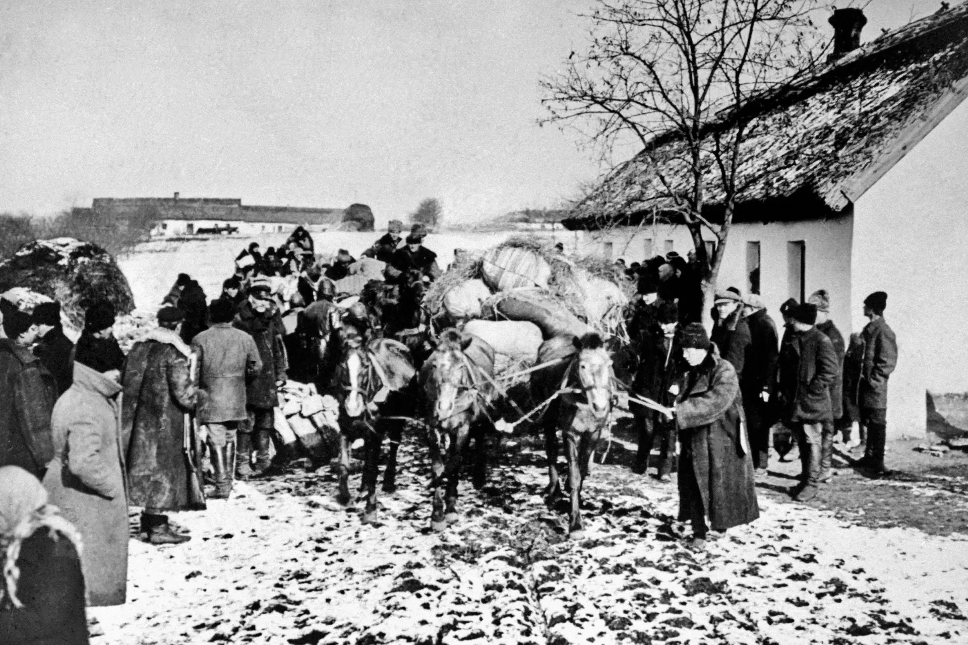 1929 год. В России коллективизация, продразверстка, очереди в столовые, обучение взросл...