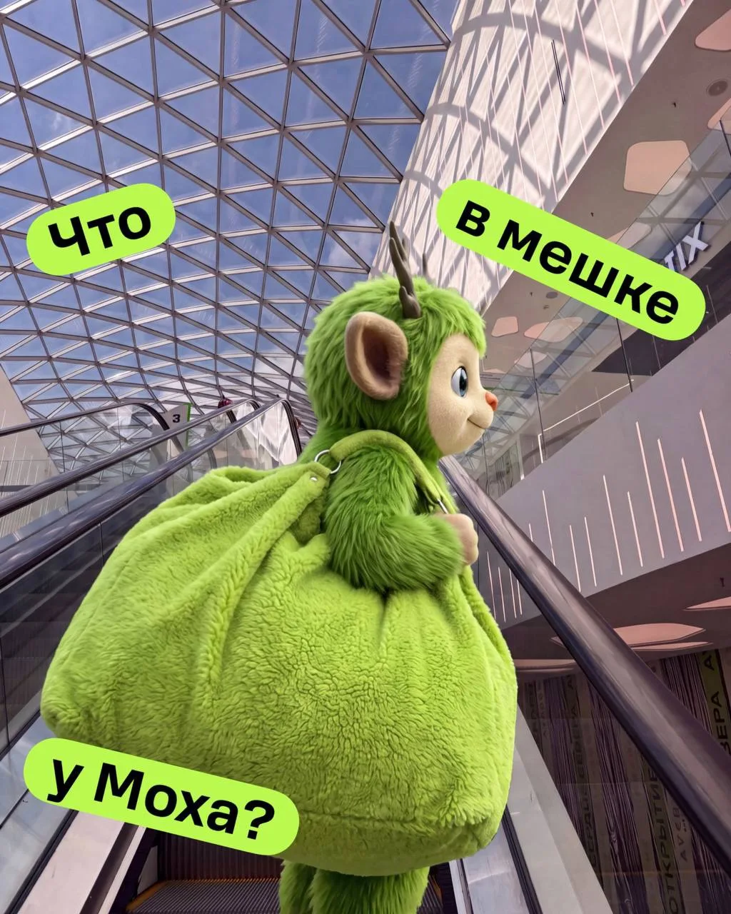 ⚡️Сегодня #ВопросНедели такой: Что в мешке у Моха???