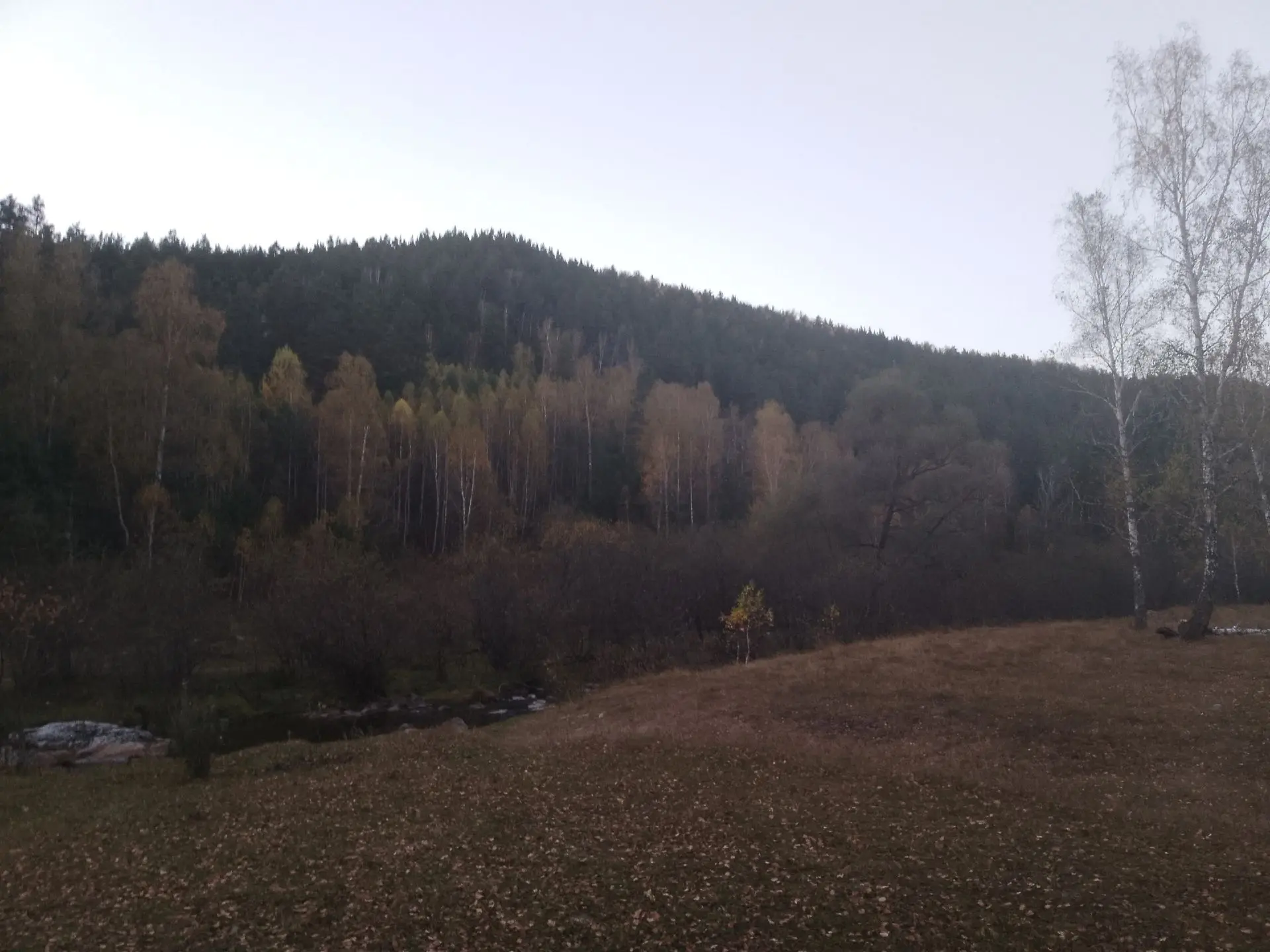 Бөрйән районы  Байназар ауылынан ИСМӘҒИЛЕВА Динәнең фотоһүрәттәре.
