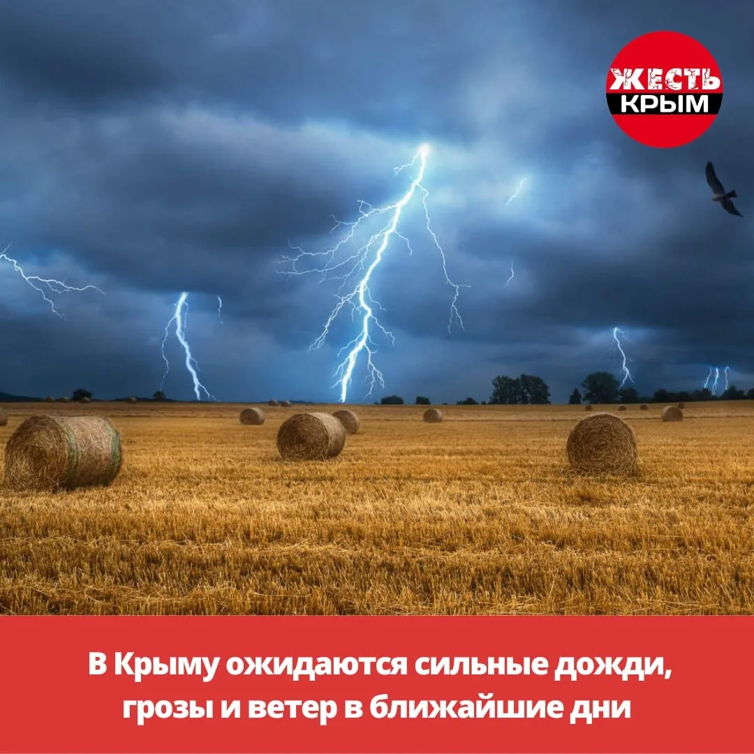 В Крыму ожидаются сильные дожди, грозы и ветер в ближайшие дни.