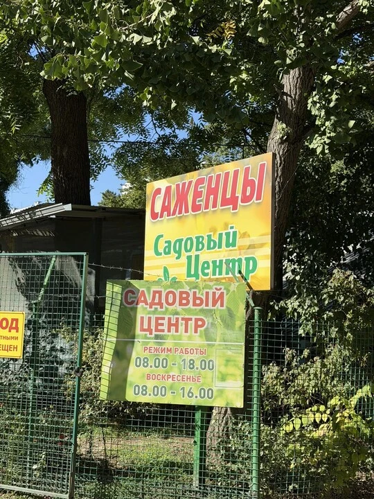 В этом году решила больше ничего не покупать для сада. Ну правда, сколько можно 😄
