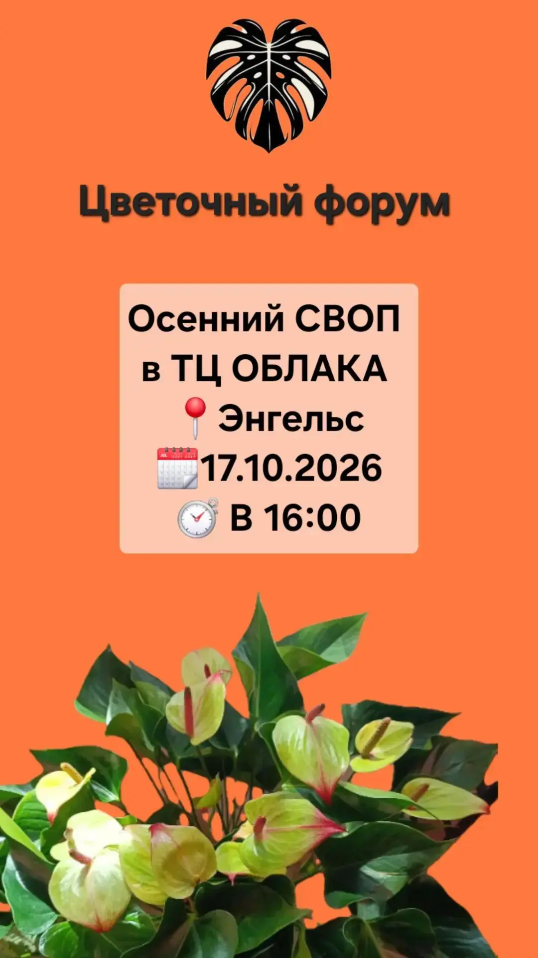 Принесли вам шикарную новость🥰