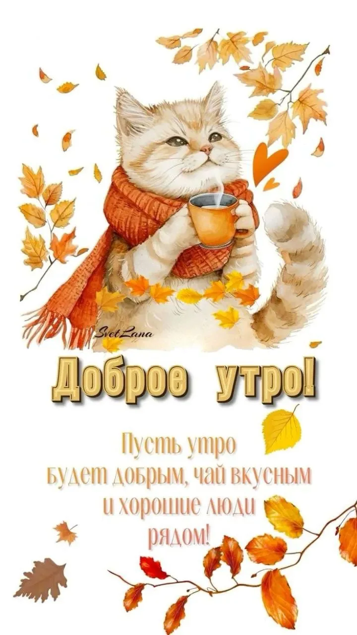 Красивые открытки❤️