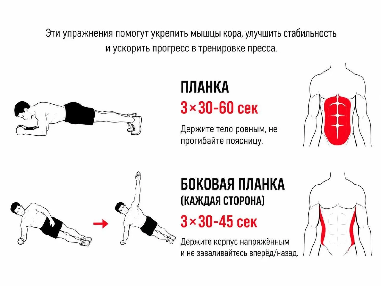 ✔️Качаем рельефный пресс за 30 дней — в сети собрали комплекс упражнений на все мышцы ж...