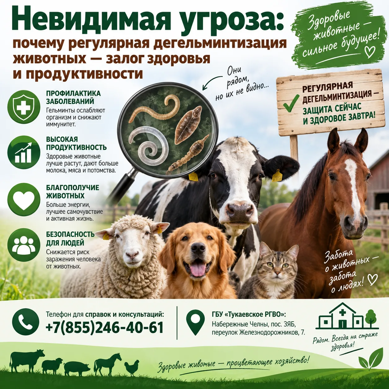🪱 Невидимая угроза: почему регулярная дегельминтизация животных — залог здоровья и про...