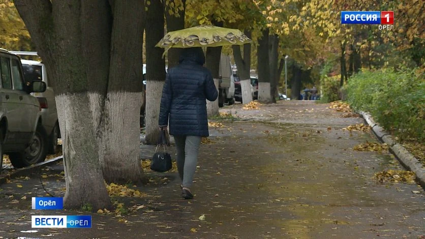 🍂 Орловский психотерапевт Юлия Ланцева объяснила отличия осенней хандры от депрессии
