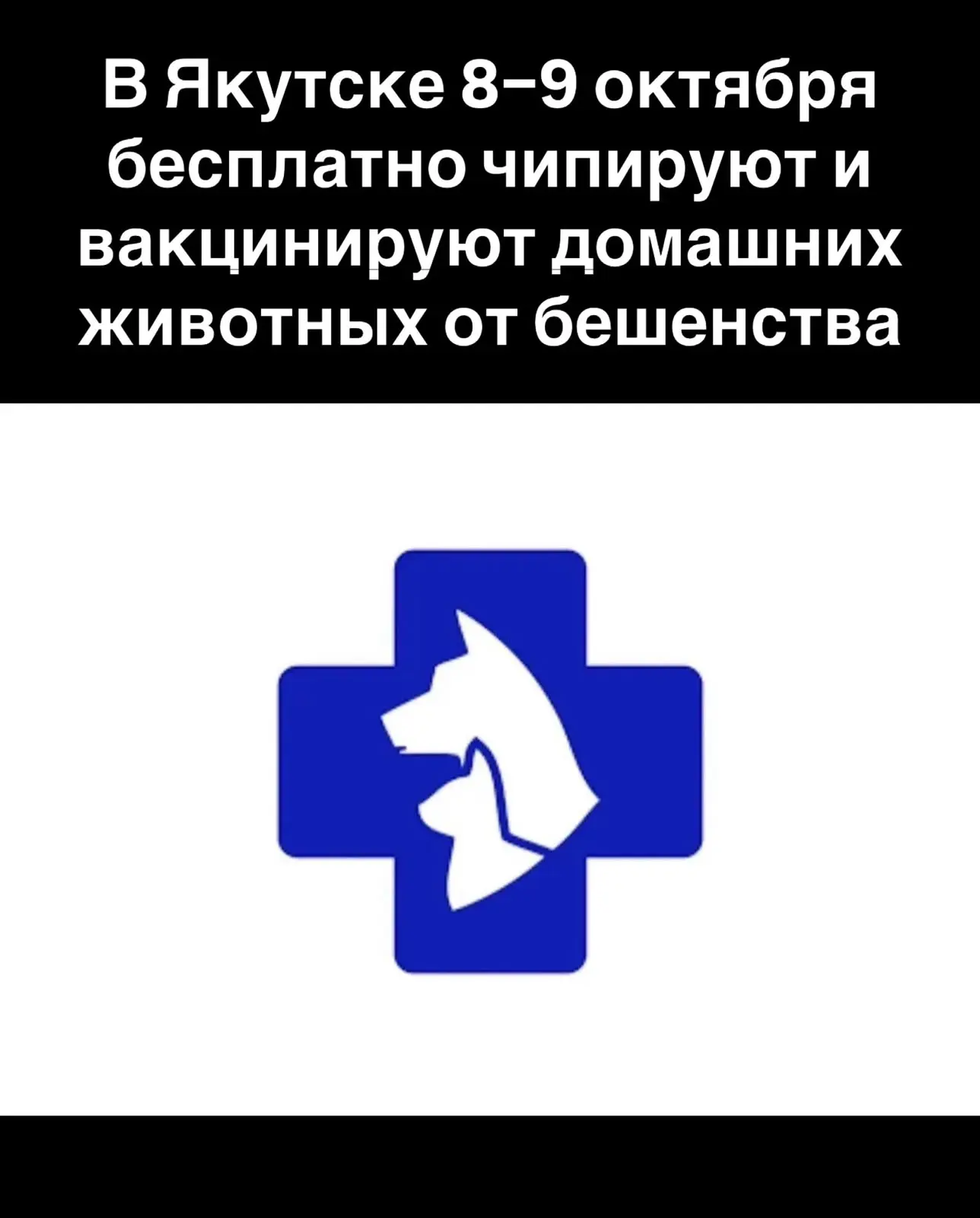 ГБУ РС(Я) «Управление ветеринарии города Якутска» 8–9 октября 2026 года с 10:00 до 16:0...