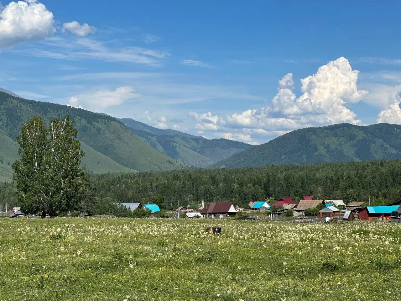 ЗЕМЕЛЬНЫЕ УЧАСТКИ ИЖС